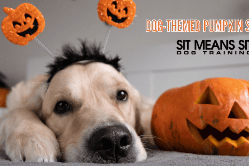 Dog-Themed Pumpkin Stencils