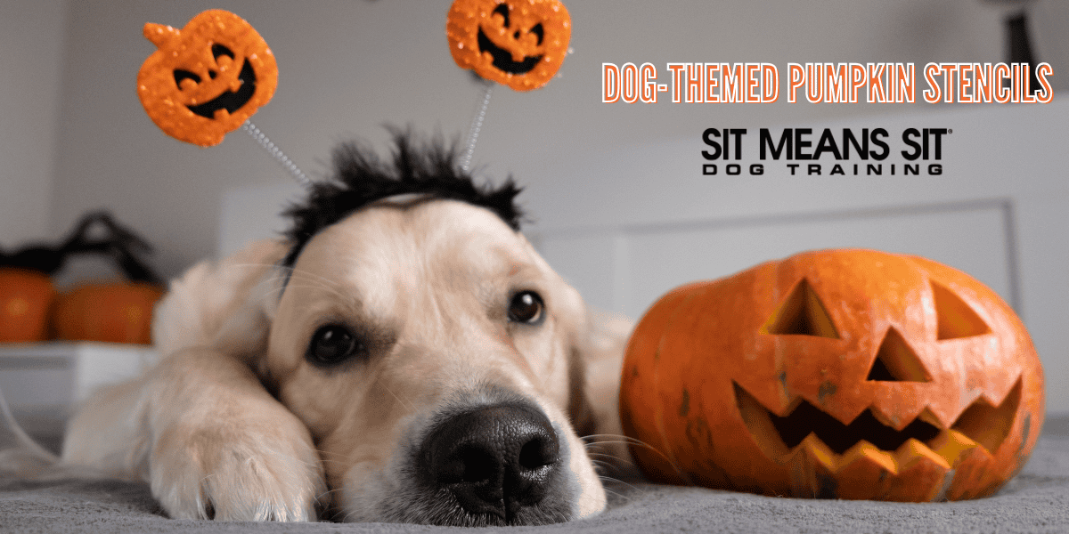 Dog-Themed Pumpkin Stencils