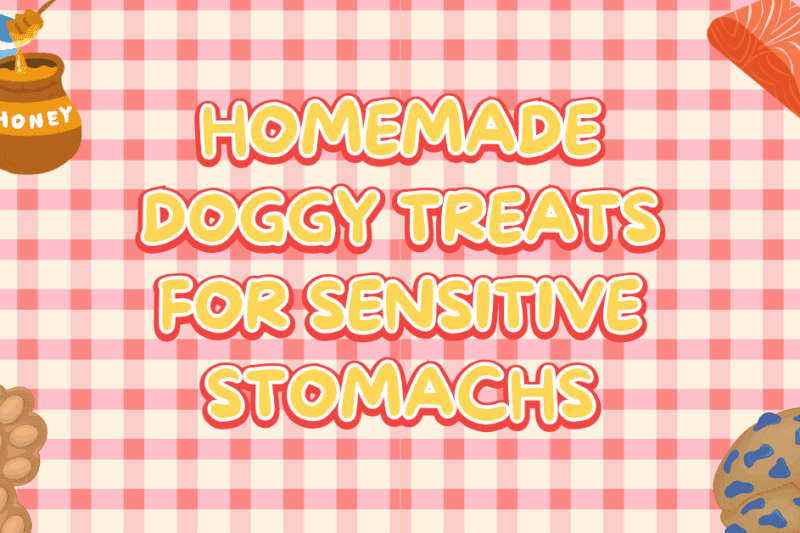 Homemade Doggy Treats For Sensitive Stomachs