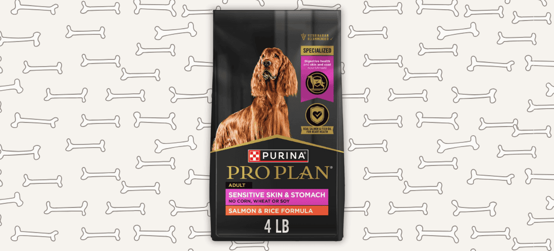 The Best Food for Canines with Allergies