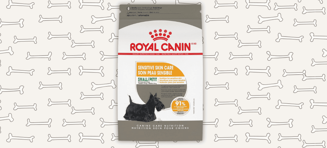 The Best Food for Canines with Allergies