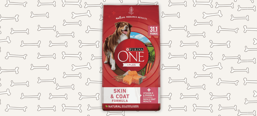 The Best Food for Canines with Allergies