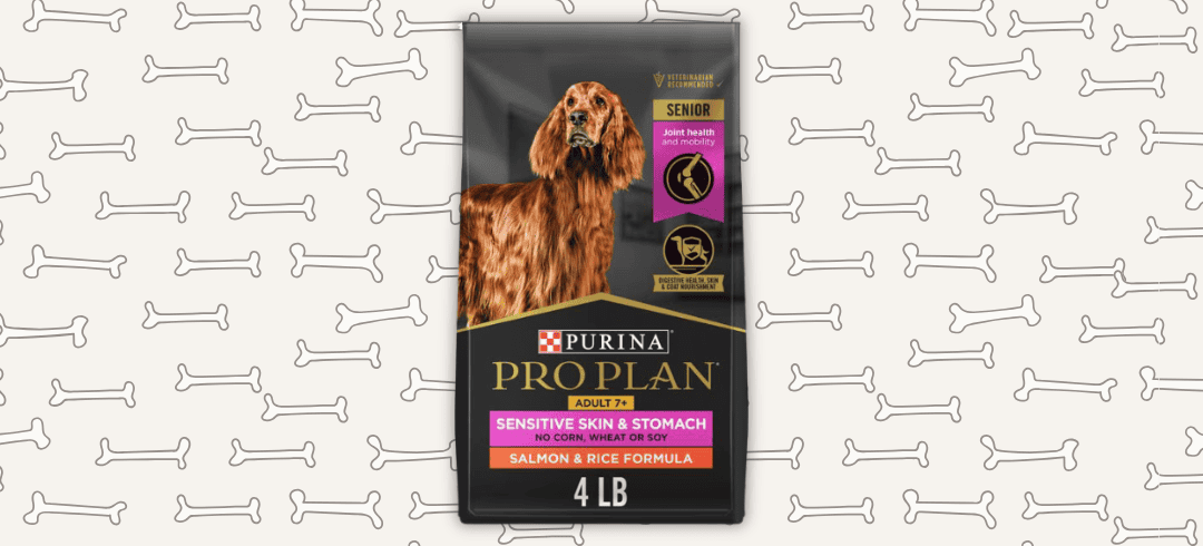 The Best Food for Canines with Allergies