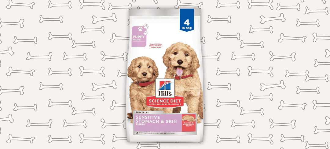 The Best Food for Canines with Allergies